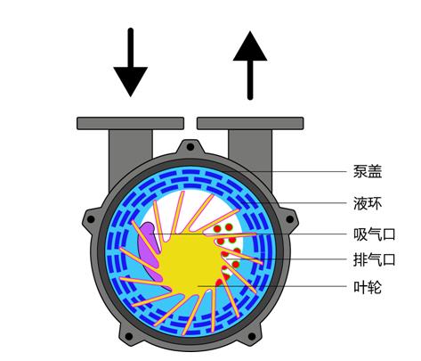 液環(huán)真空泵工作原理圖