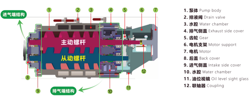 螺桿泵內(nèi)部結(jié)構(gòu)圖